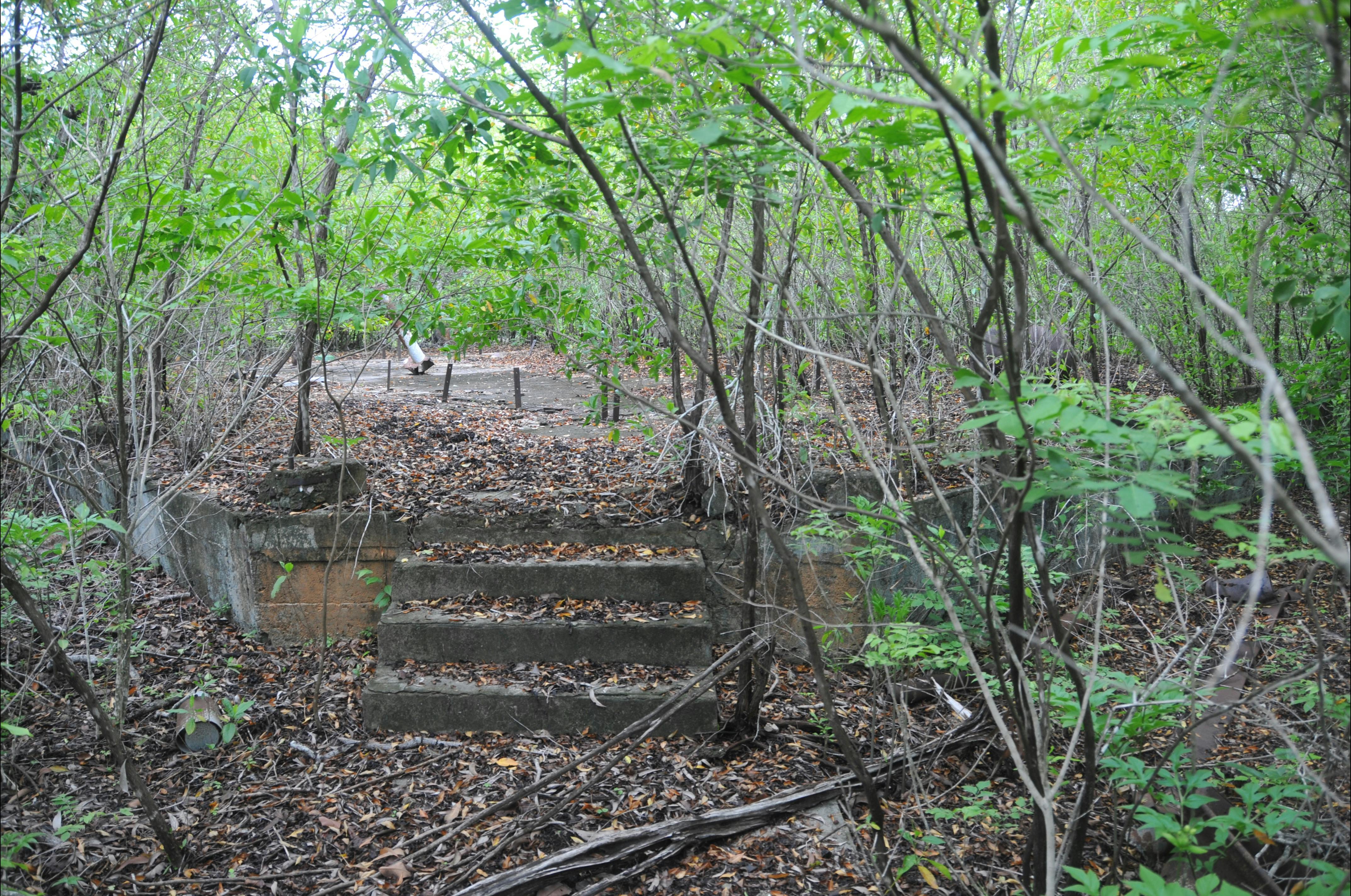 Steps leading to what as the the school.