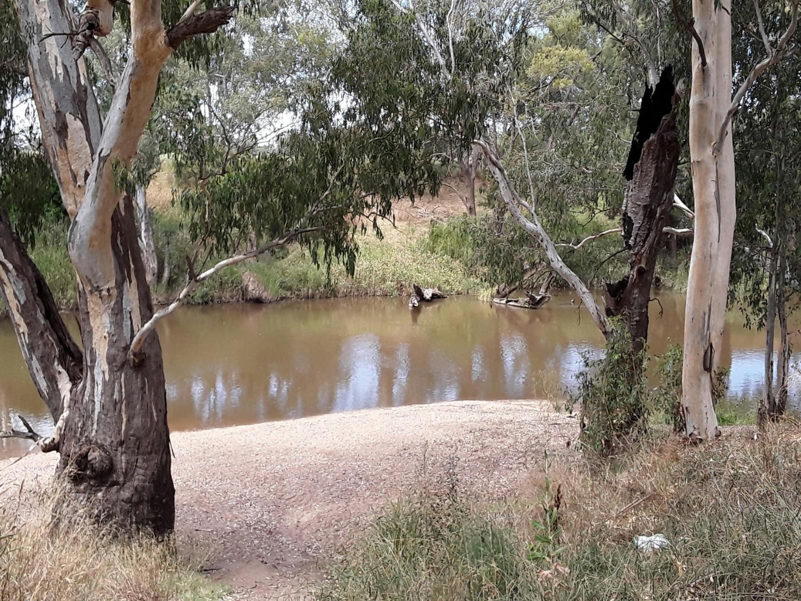 Farleigh 'Beach' Reserve edit1