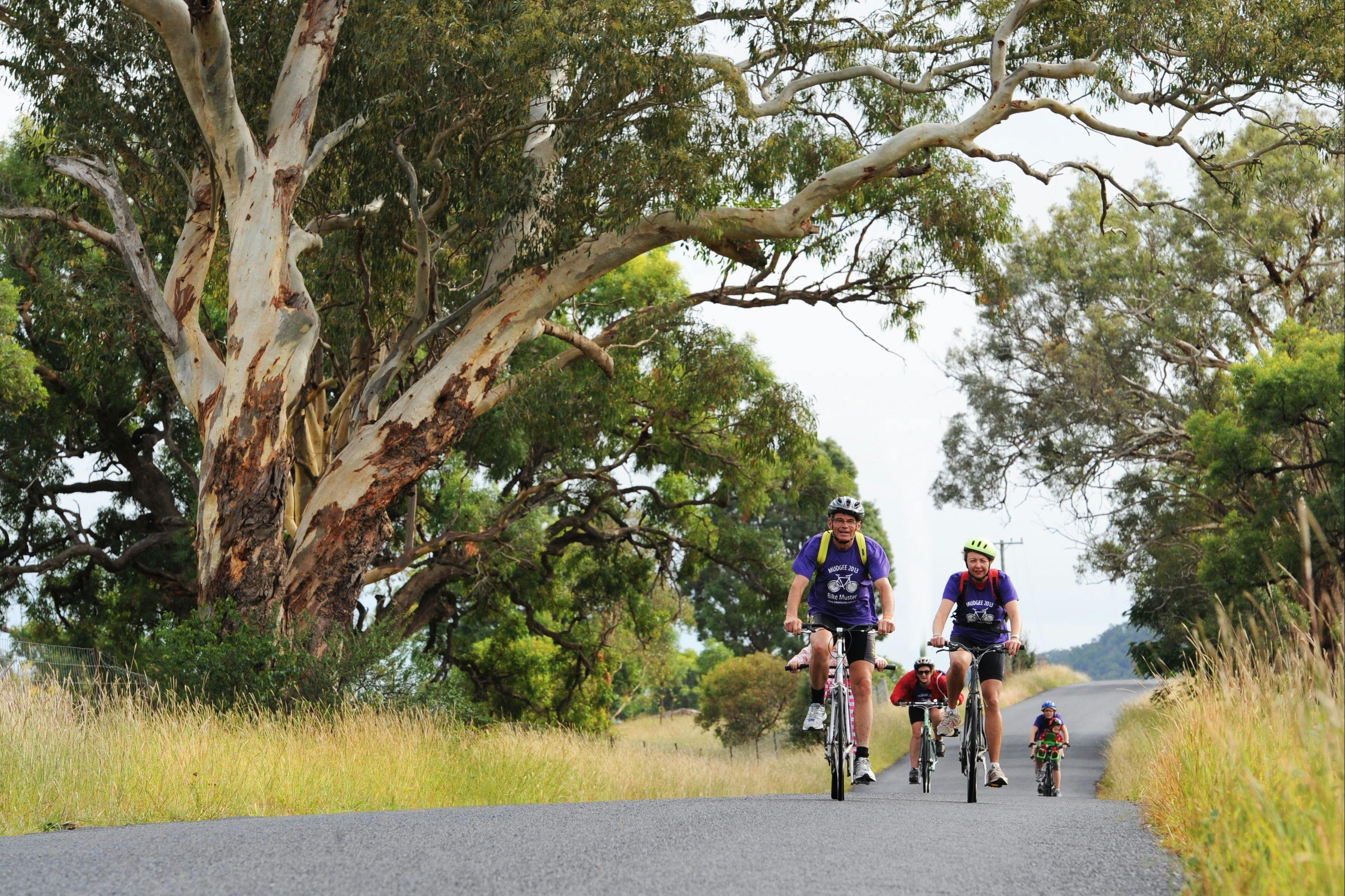Cycling in Mudgee New South Wales