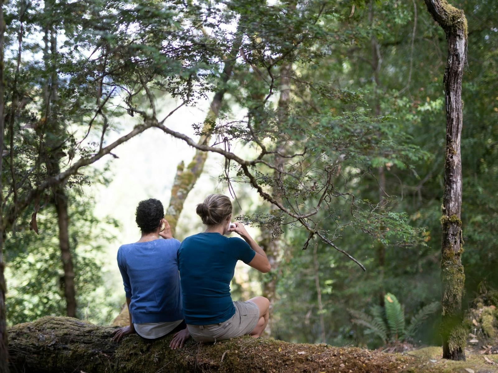 Tarkine Trails