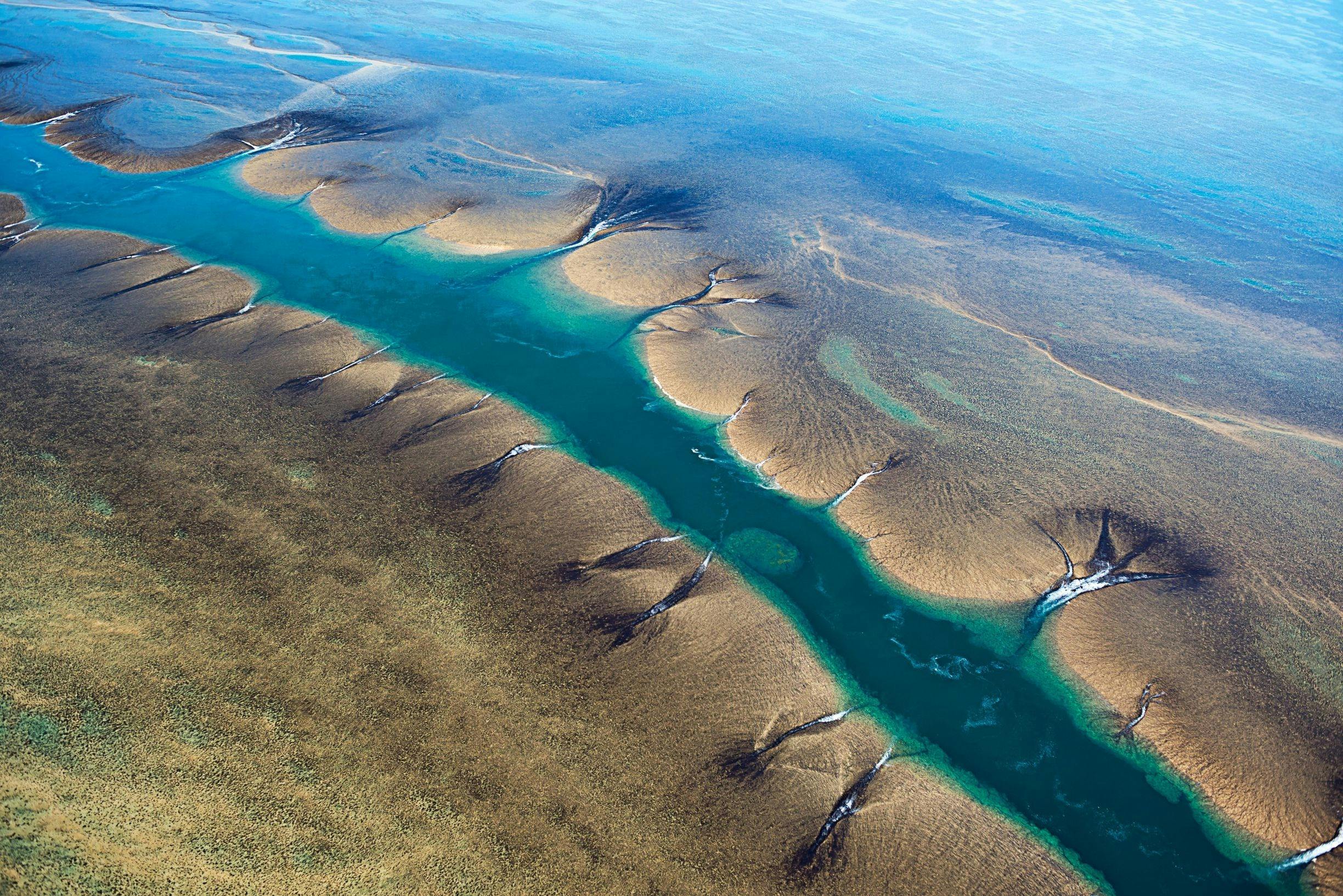 Yowjab Montgomery Reef on the Kimberley Coat