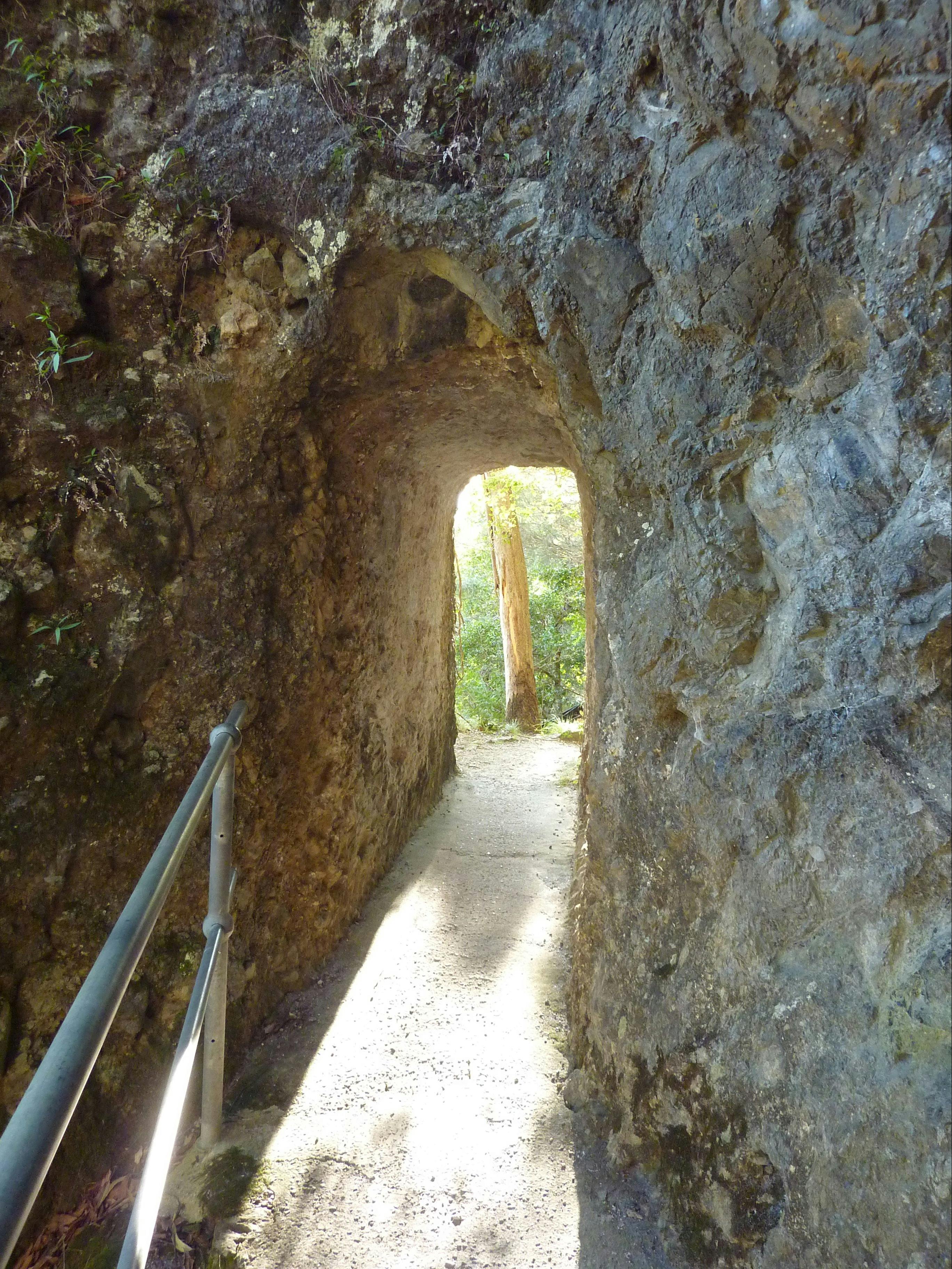Caves track, Lamington National Park