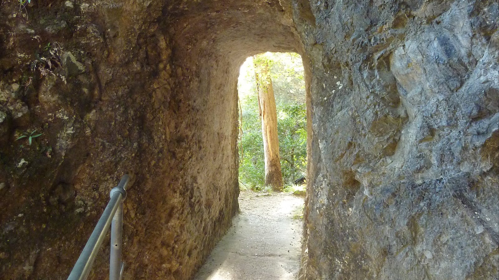 Caves track, Lamington National Park