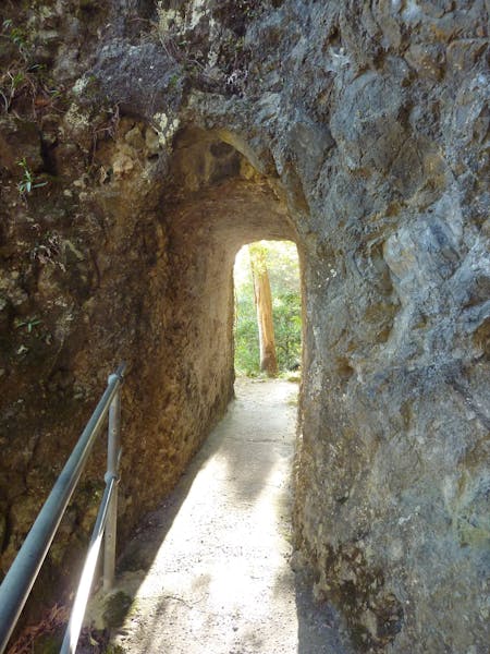 Caves track, Lamington National Park
