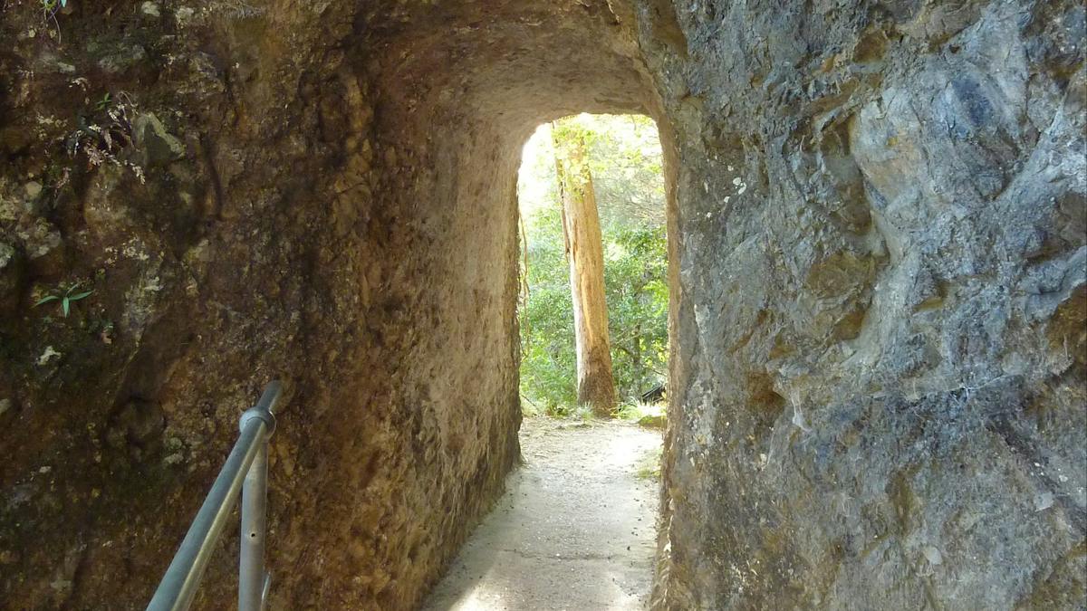 Caves Track Lamington National Park | Journeys | Queensland