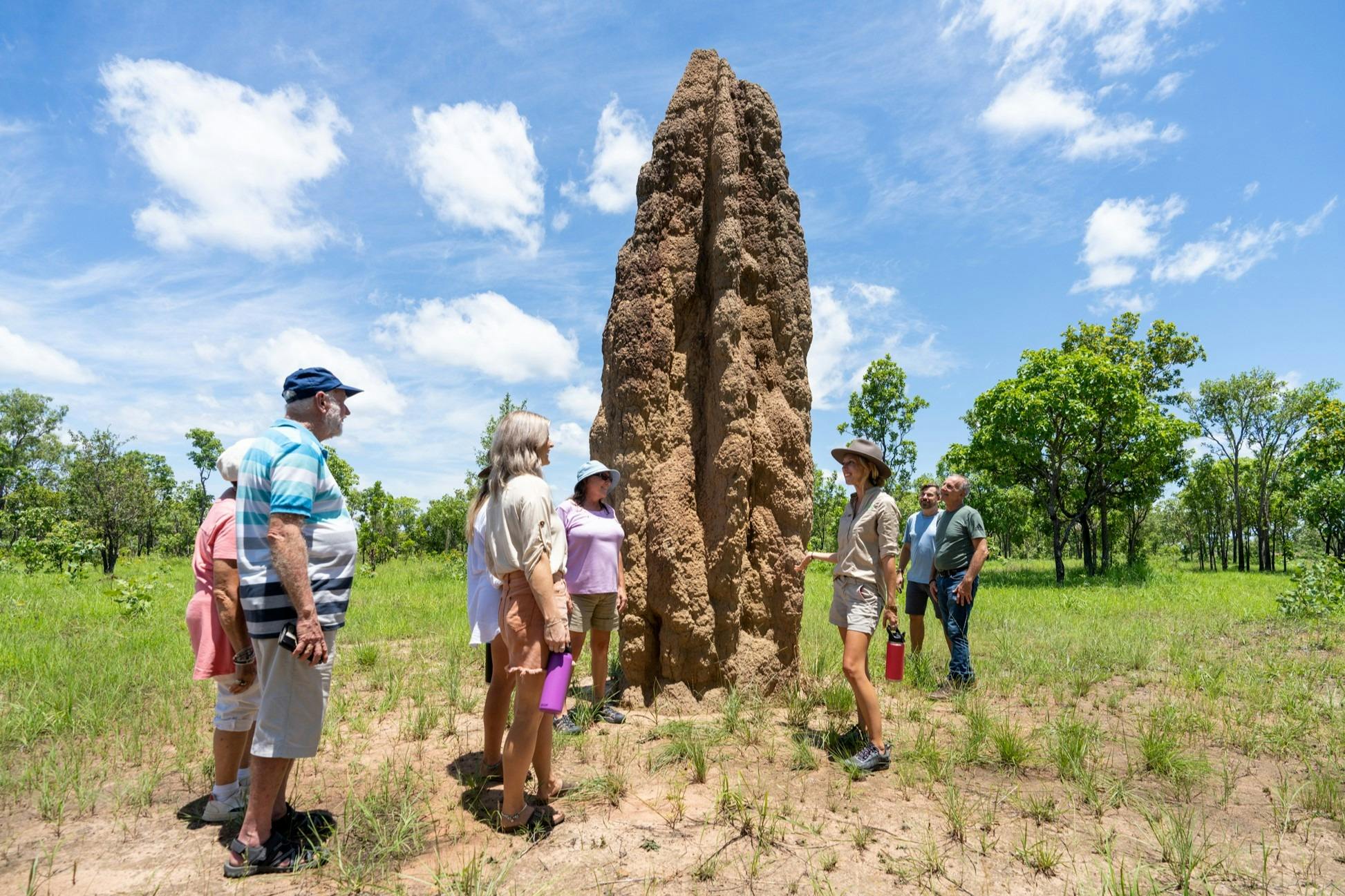 Catherdal Termite Mounds Top End