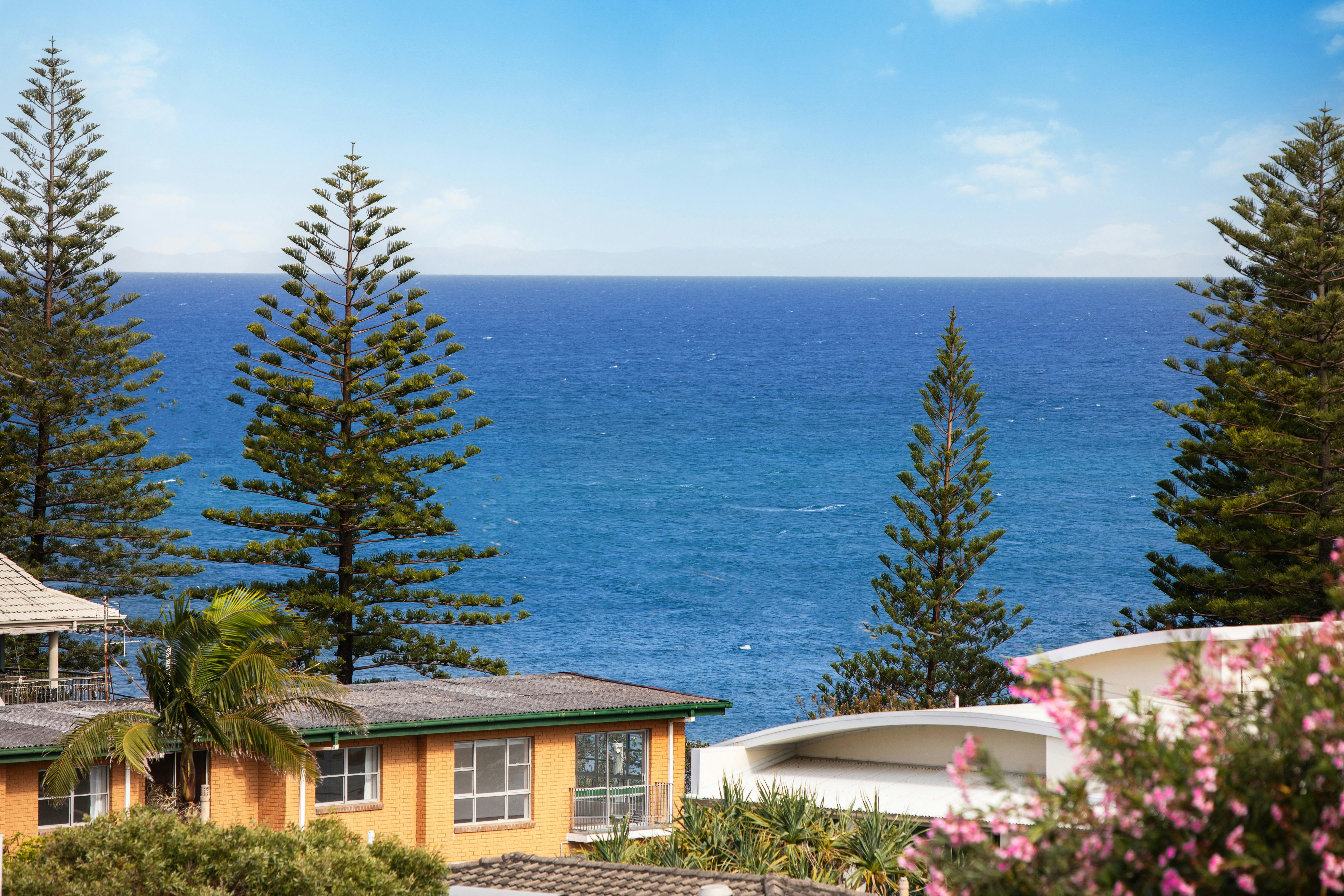 The view from the verandah