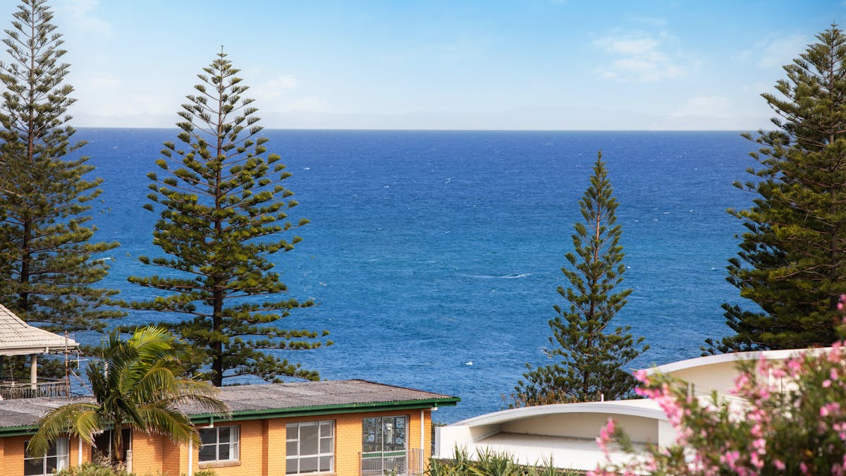 sea view, pine trees, unit roof tops the view from the verandah