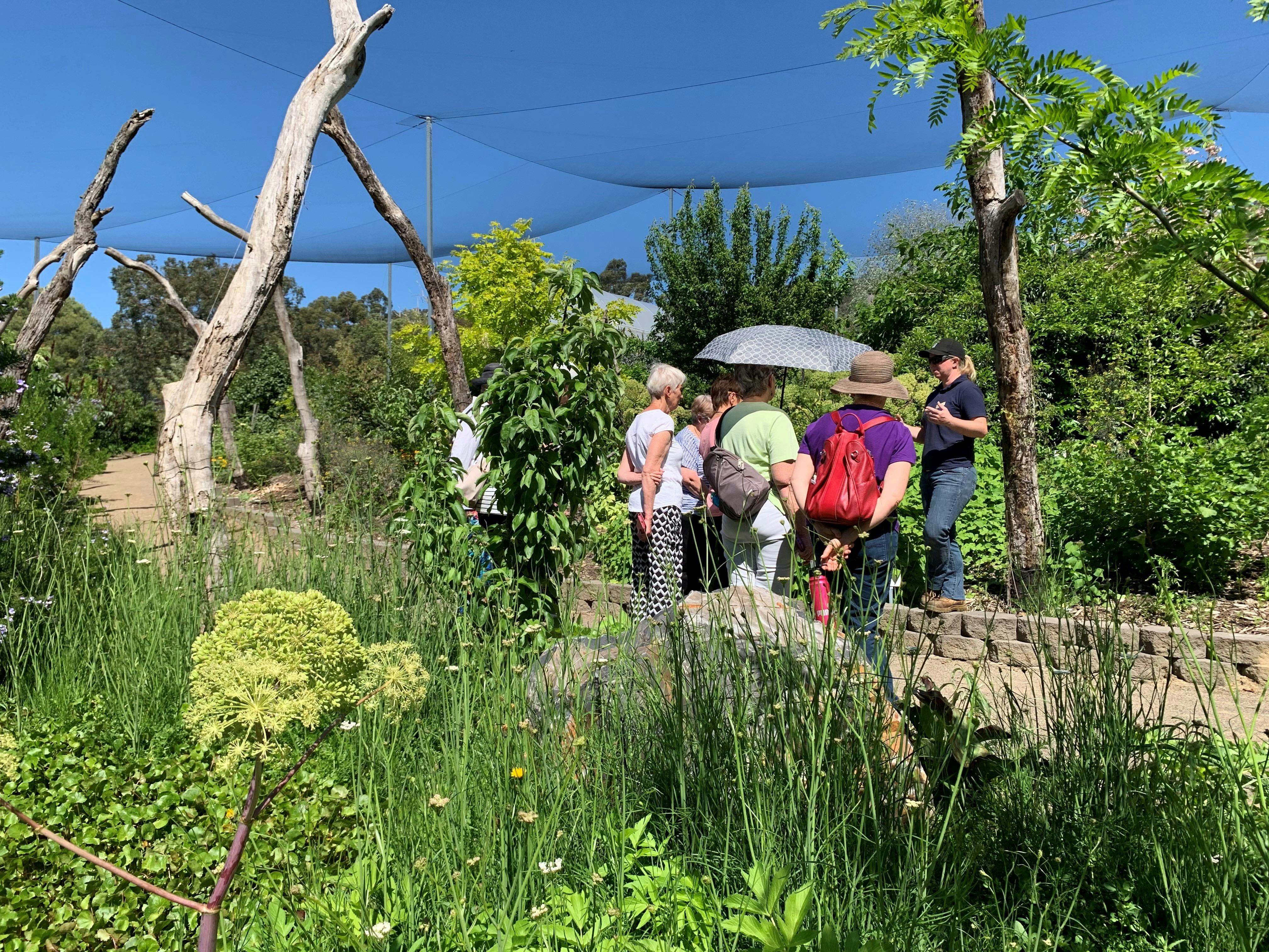Edible Forest Yarra Valley