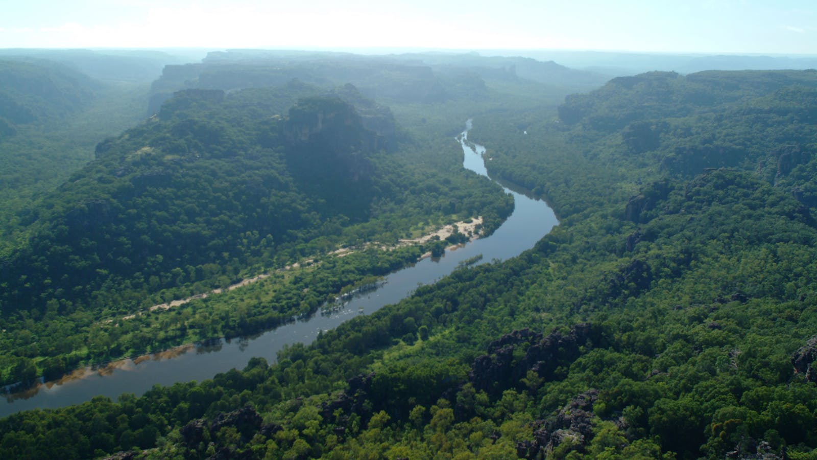 Guluyambi Cultural Cruise