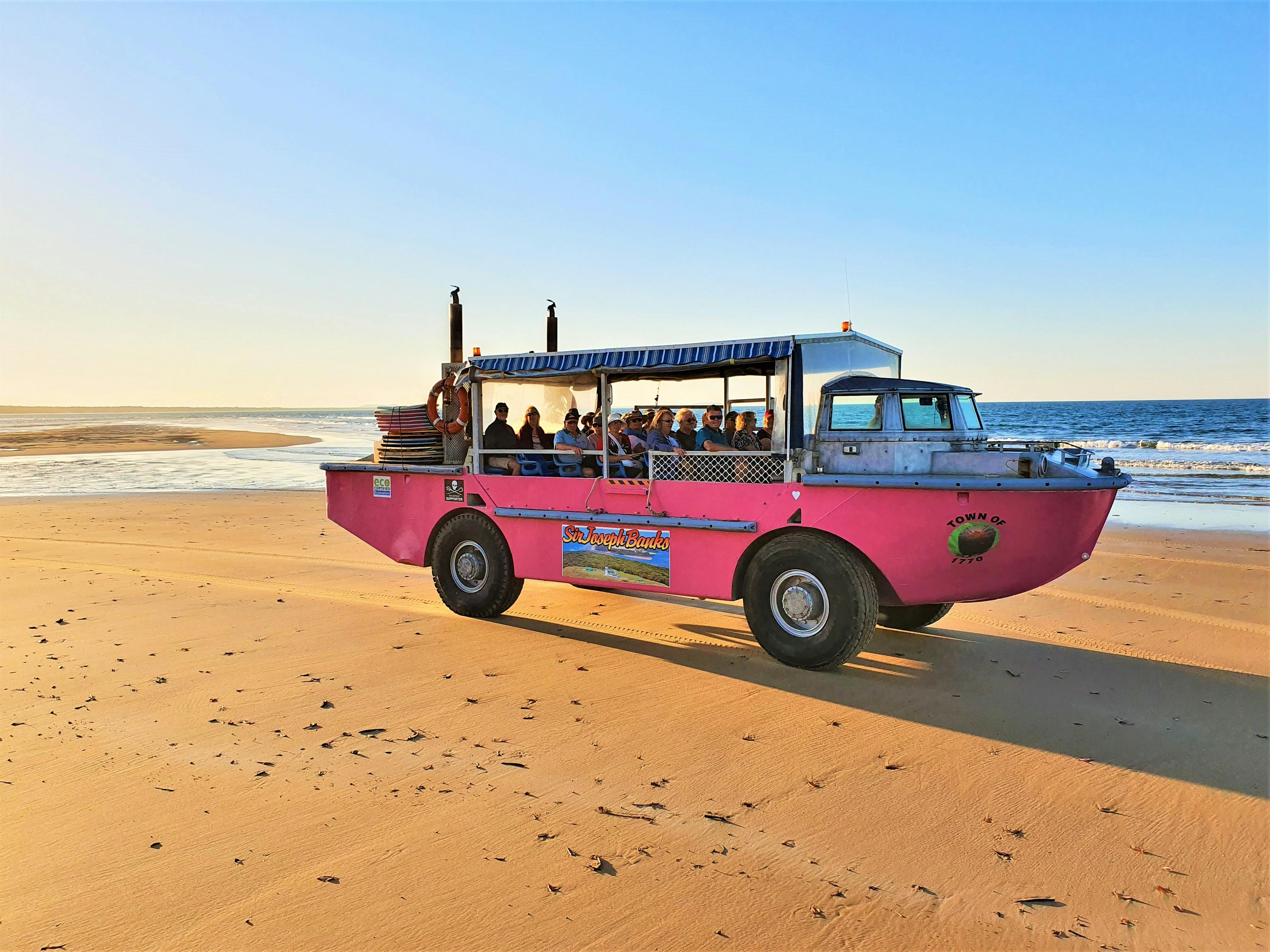 Pink amphibious vessel, full of guests on tour, on the 1770 beach, in the afternoon light.
