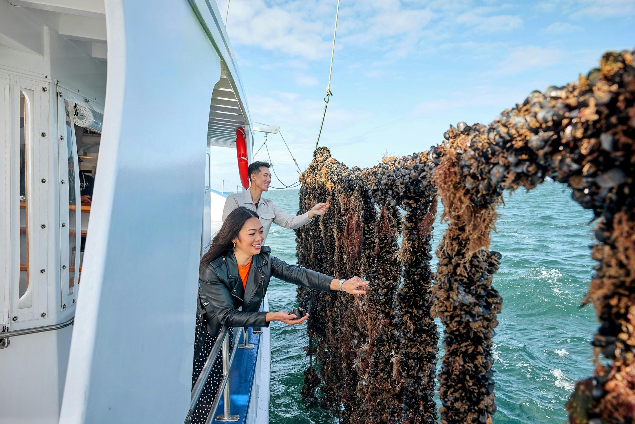Picking fresh mussels