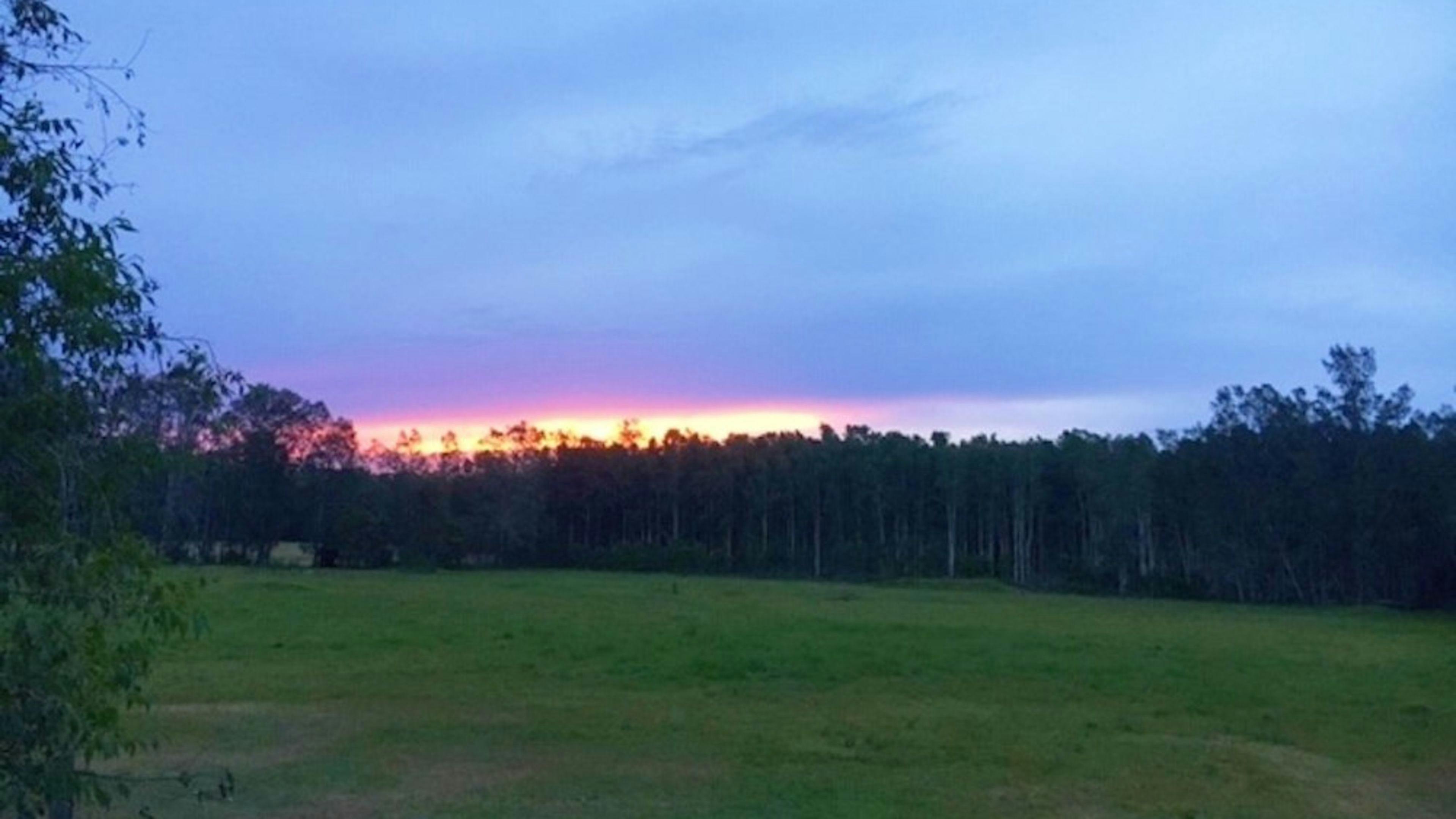 CLICK TO VIEW GALLERY