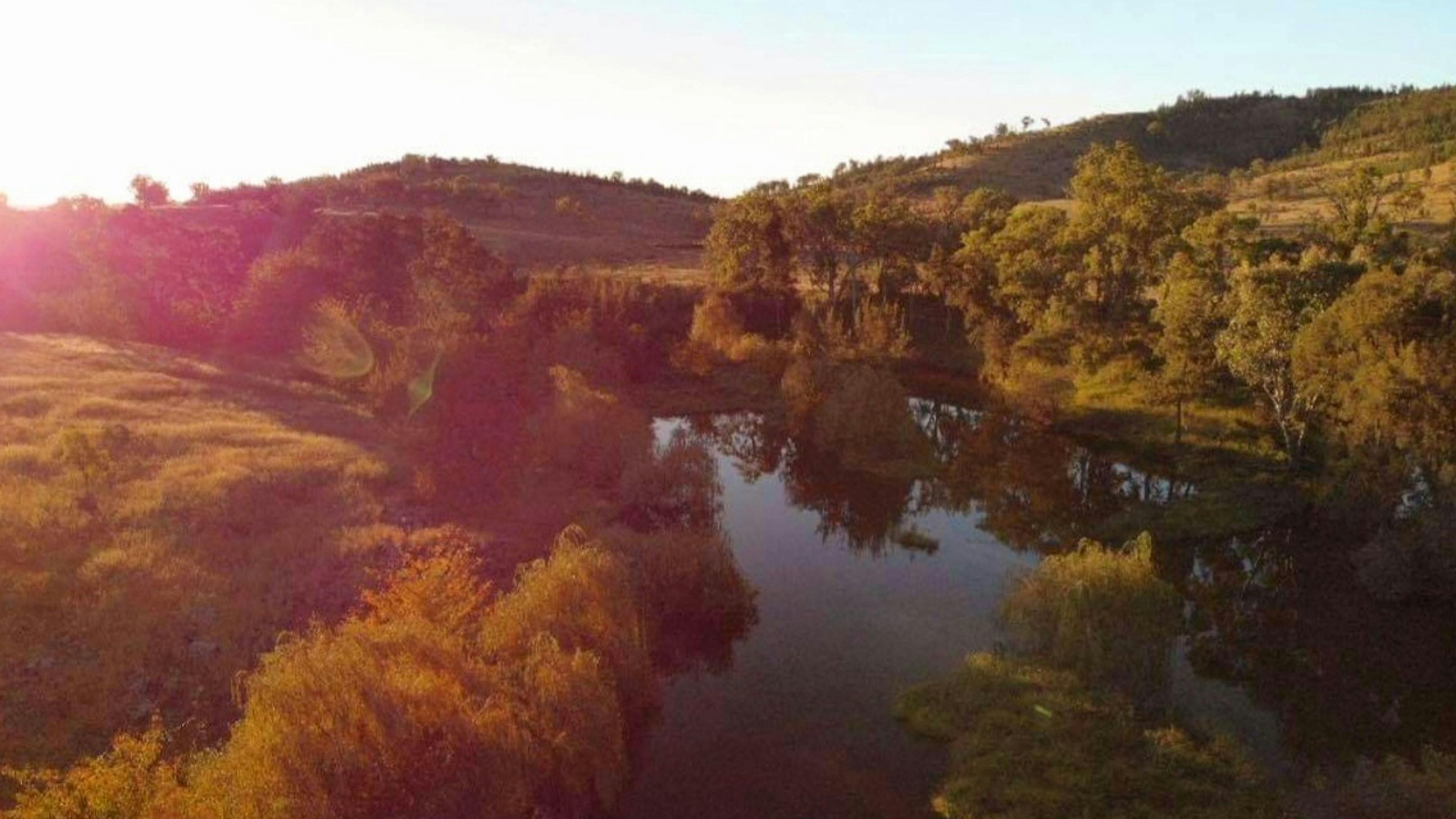 Fernlee Station