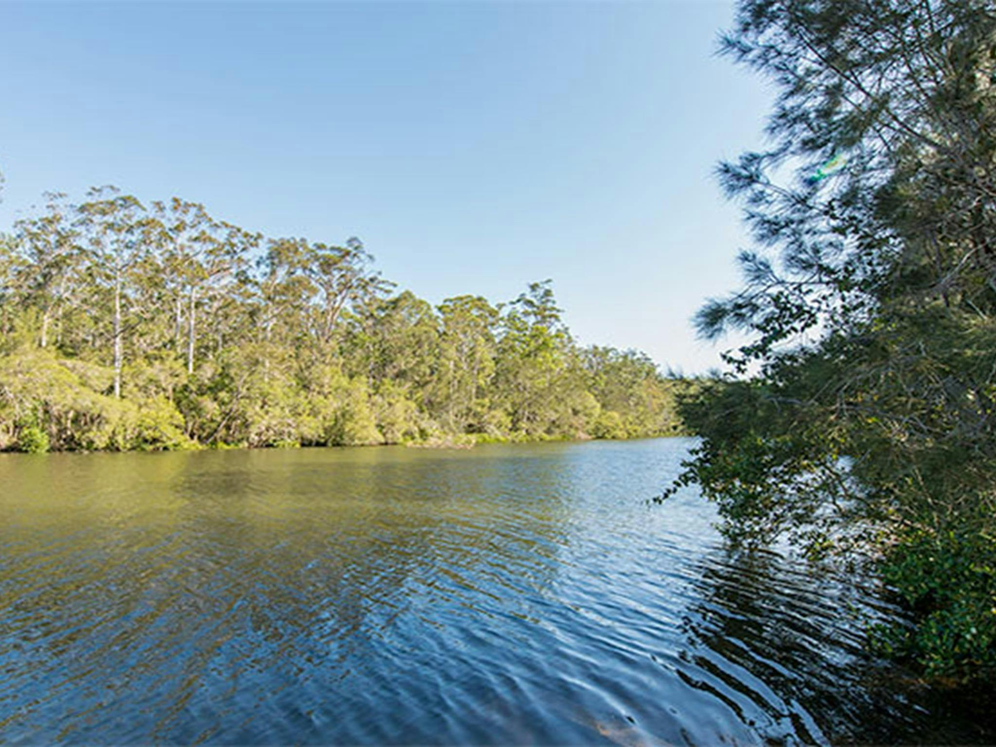 Campingplatz Ferny Creek, Wallingat-Nationalpark. Foto: John Spencer/Regierung von New South Wales