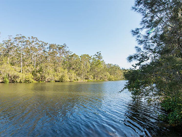 Ferny Creek campground, Wallingat National Park. Photo: John Spencer/NSW Government