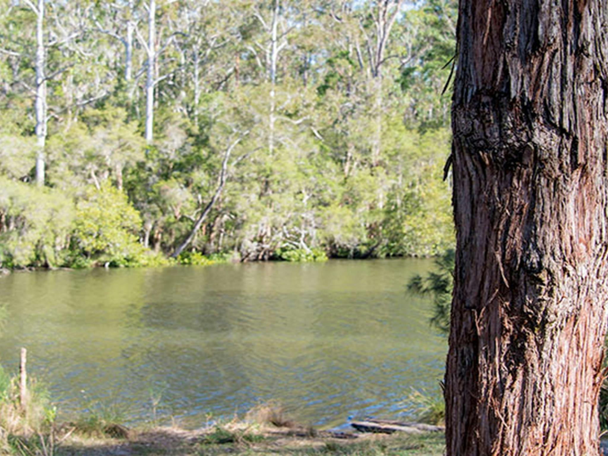 Campingplatz Ferny Creek, Wallingat-Nationalpark. Foto: John Spencer/Regierung von New South Wales