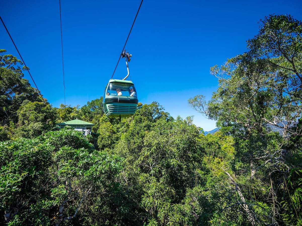 Ancient rainforest from Skyrail Rainforest Cableway