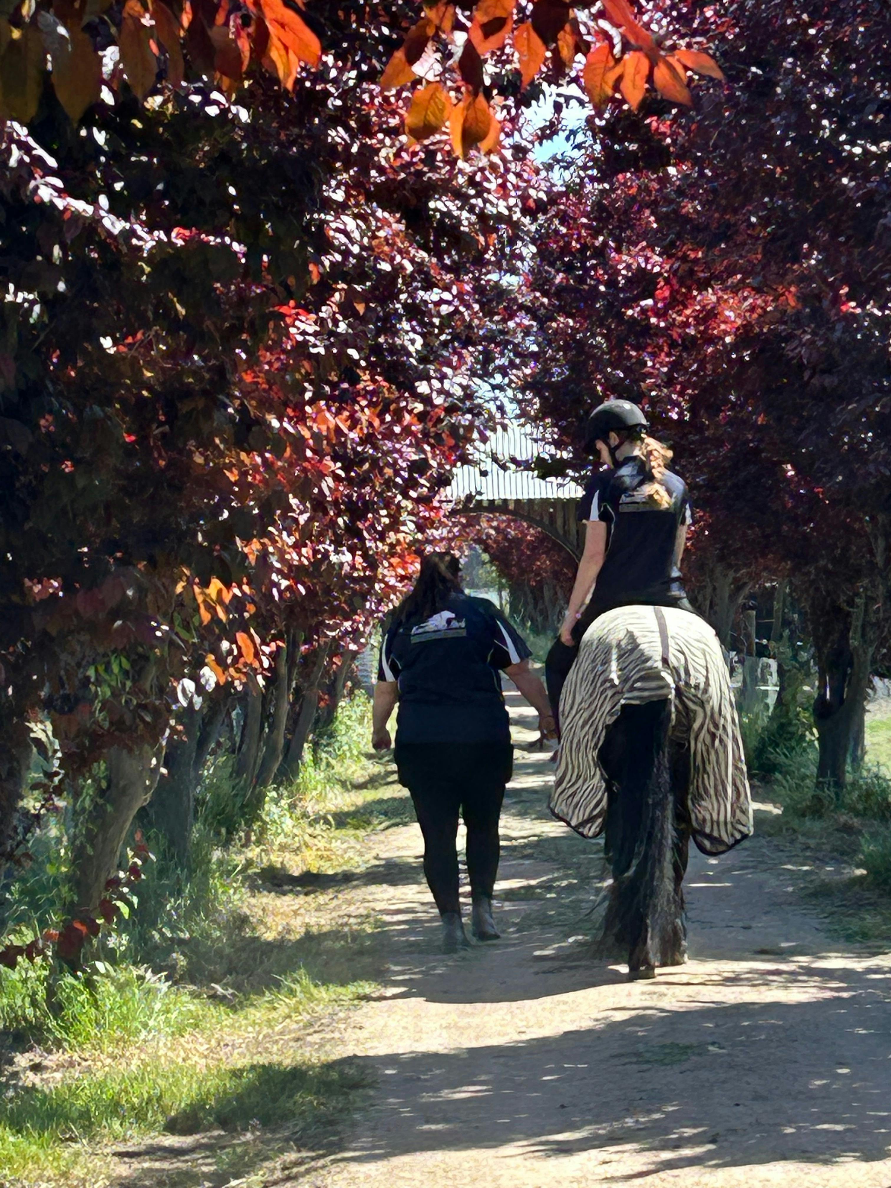 Mother and daughter heading back to the paddock