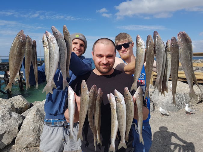 Reel Screamer Fishing Charters