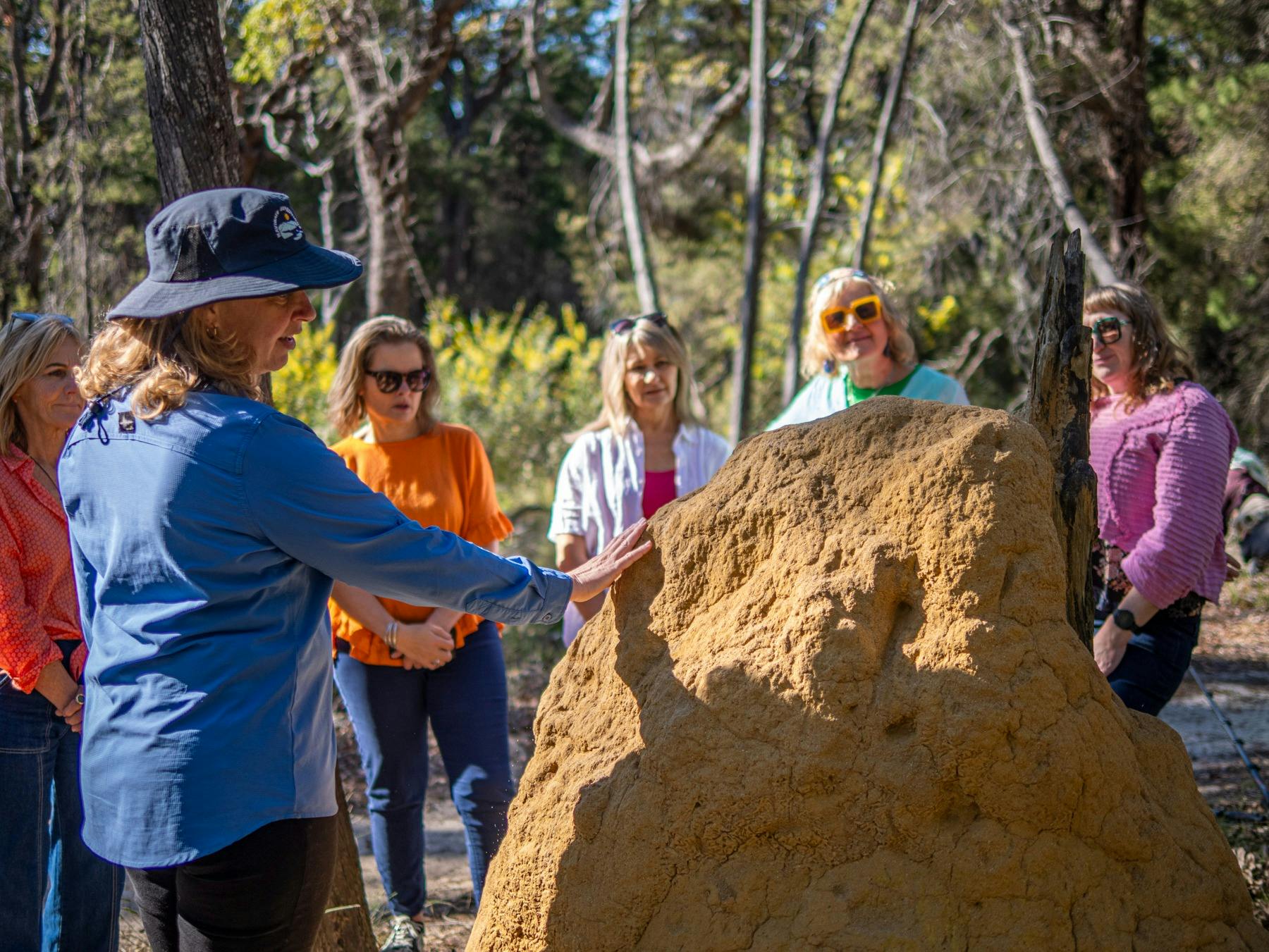 Guide and guests looking at a Termite Mound
