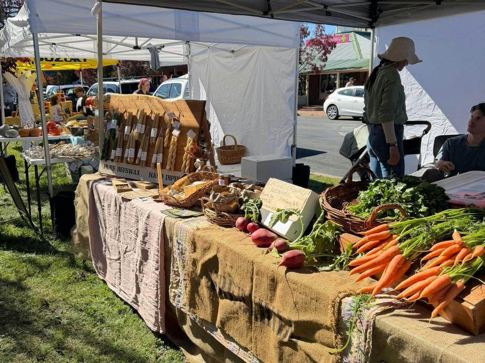 SHC market1