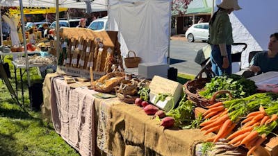 SHC market1
