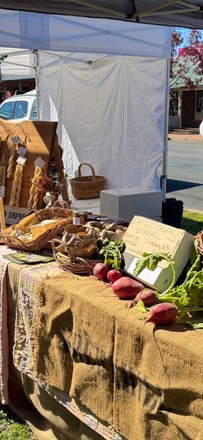 SHC market1