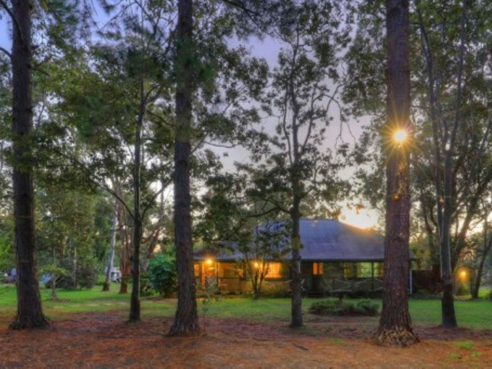 Image of a cabin in the woods at dusk