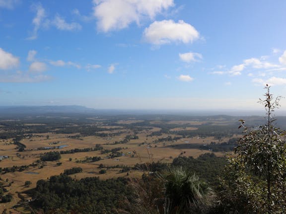 Heaton State Forest - Watagan Mountains