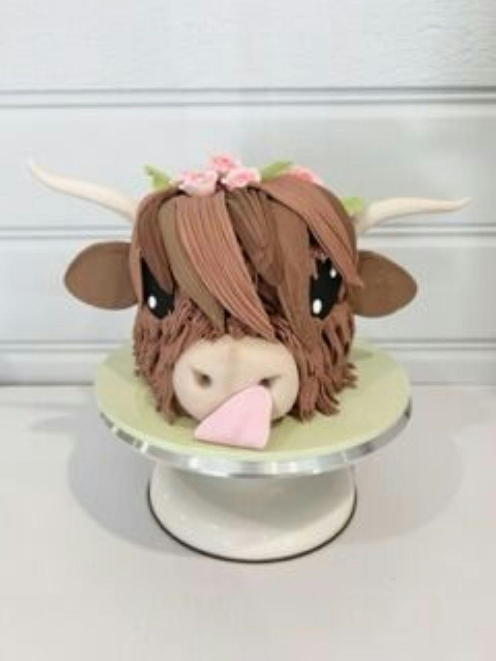 Highland Cow Cake Class
