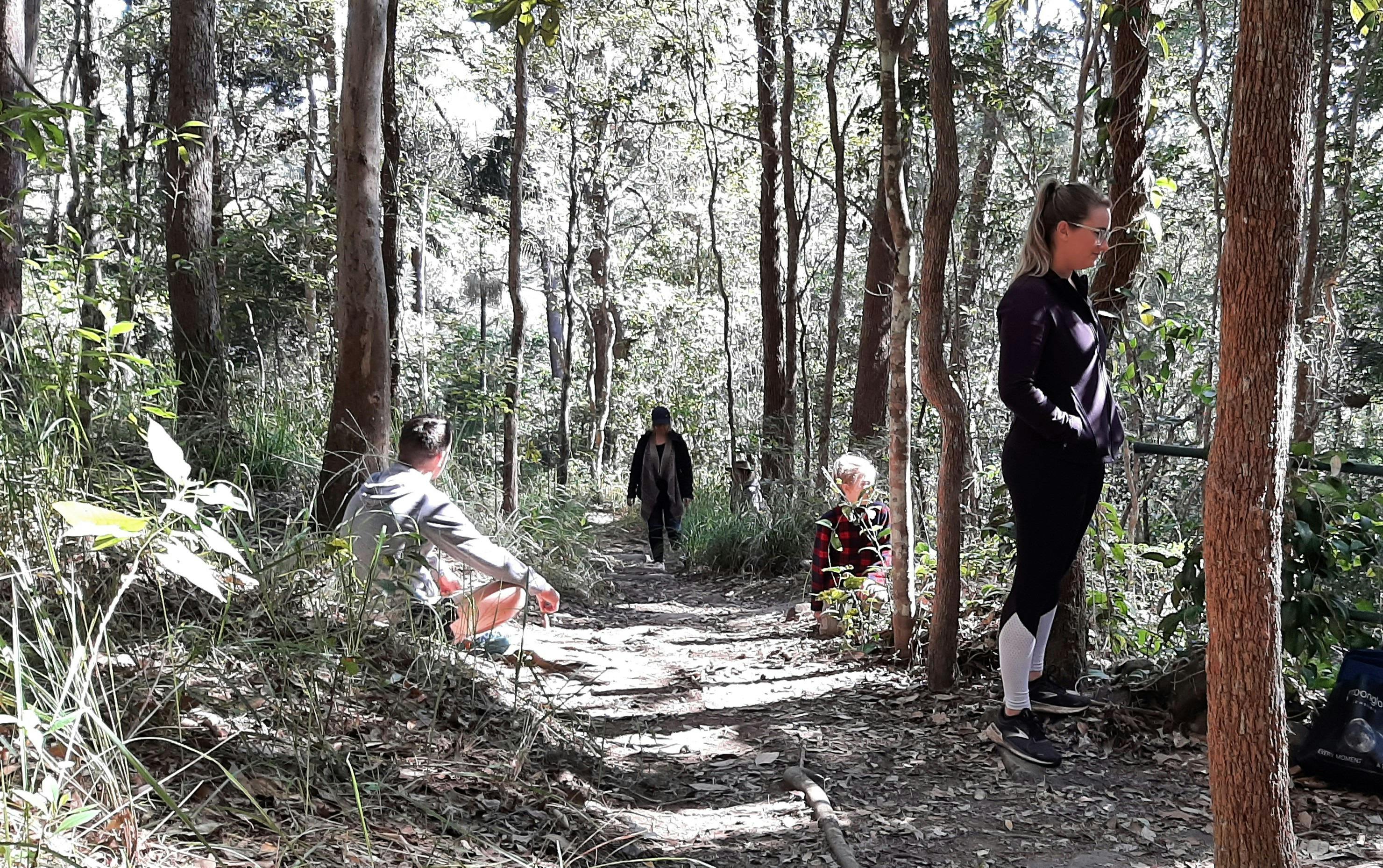Forest bathing in the bush