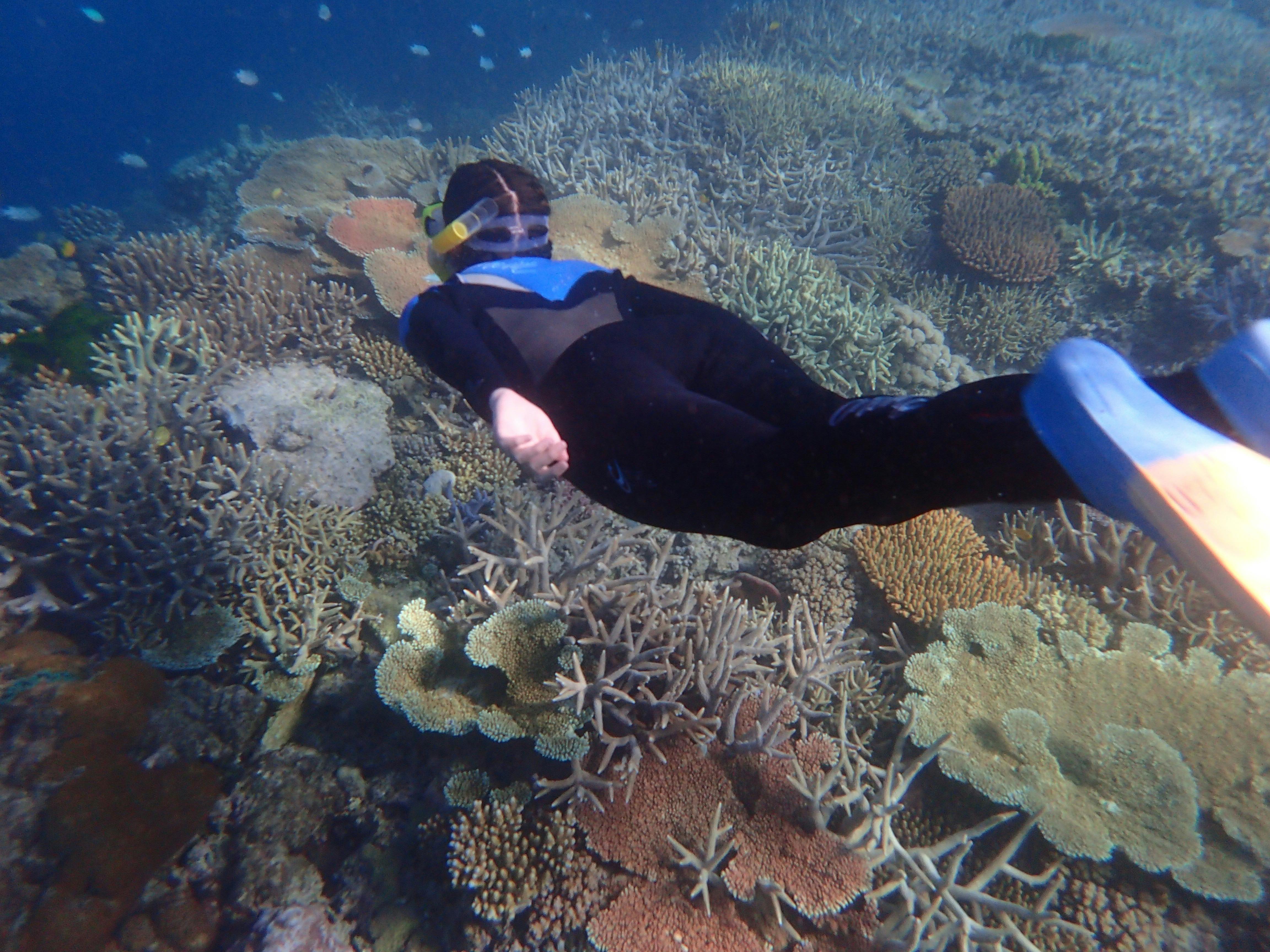 Whitsunday Luxury Sailing Holidays