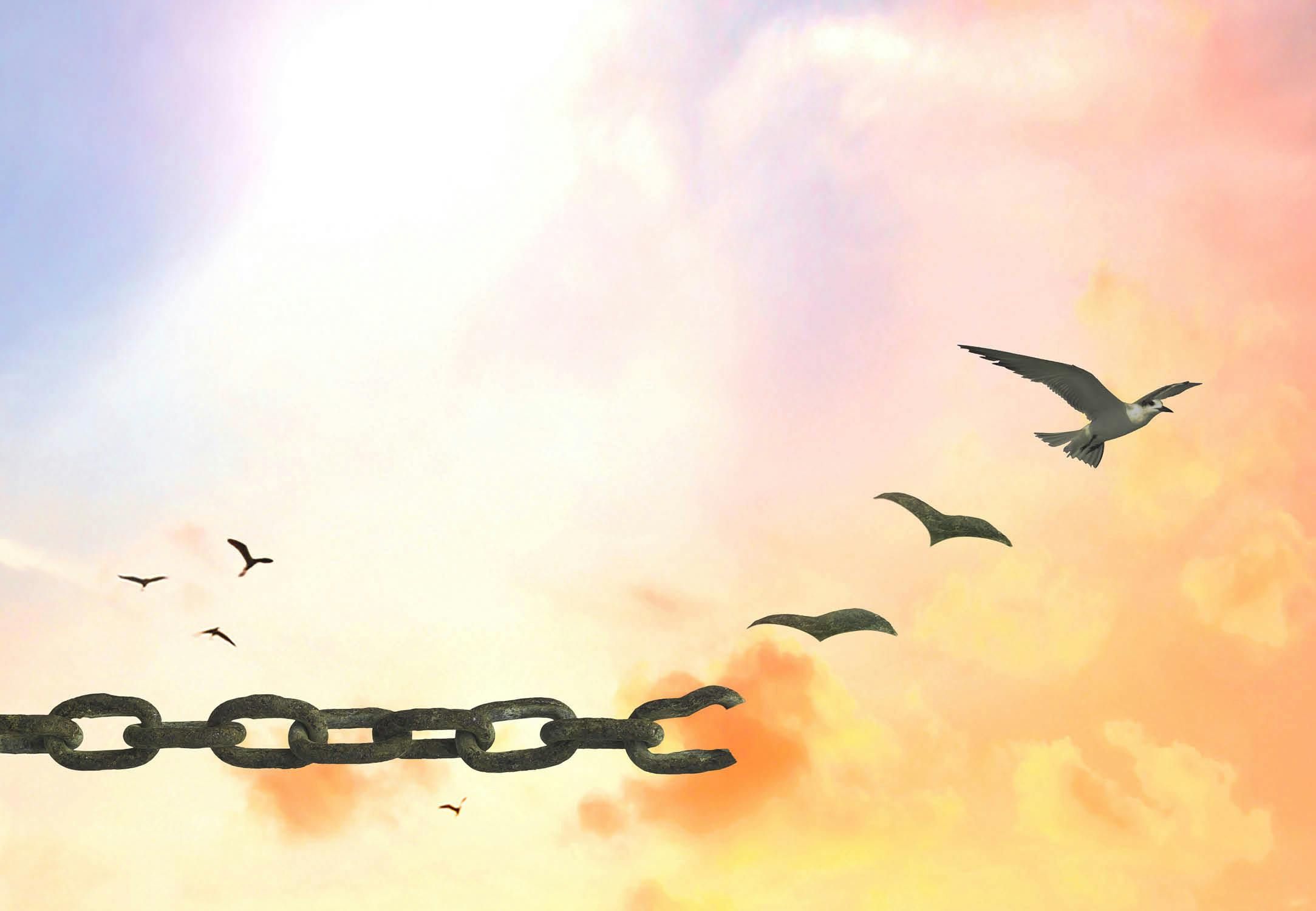 Fearless