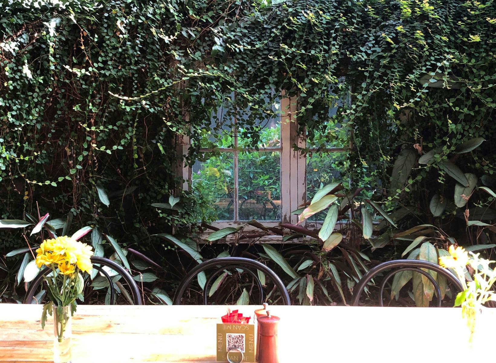 Nile Street courtyard window