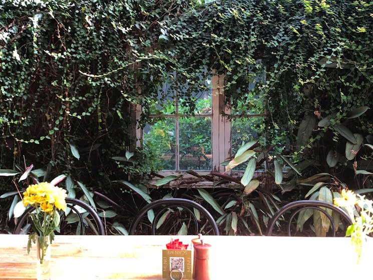 Nile Street courtyard window