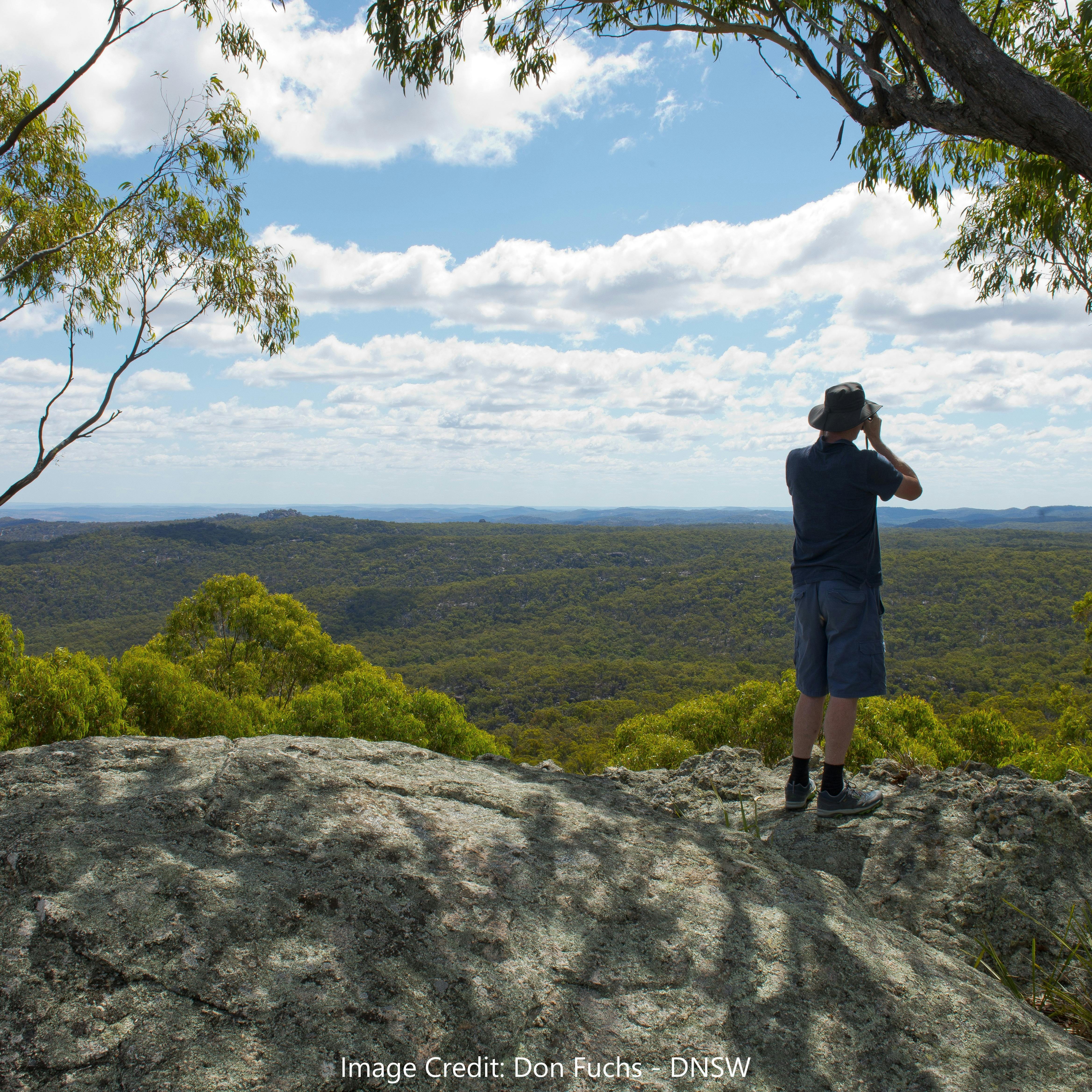 Gondwana Rainforests of Barrington Tops