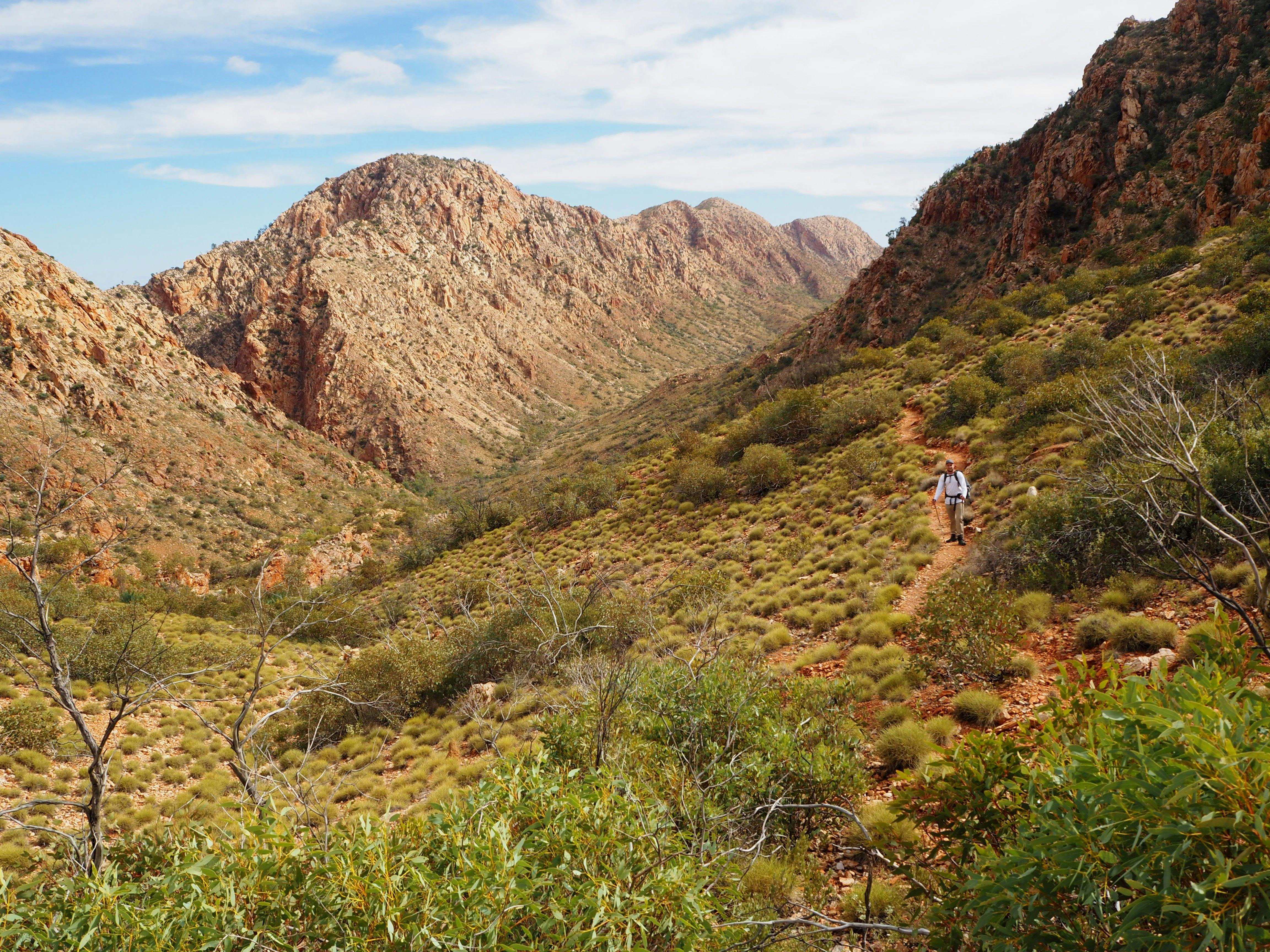 Best of the Larapinta Trail - 9 Days