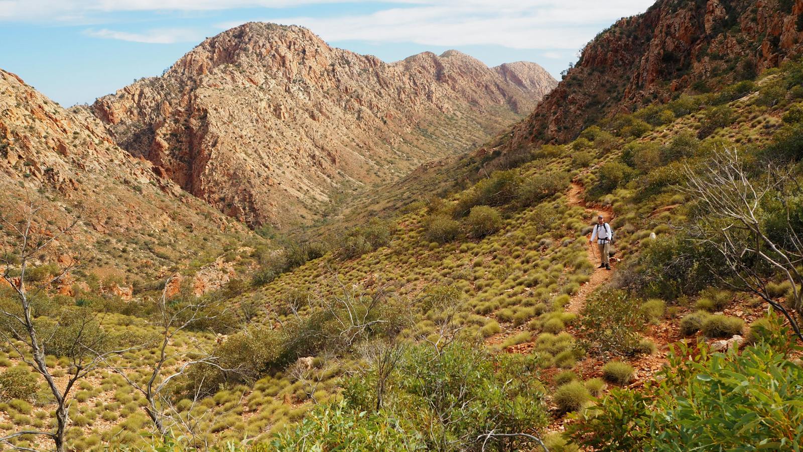 Walking Along The Larapinta