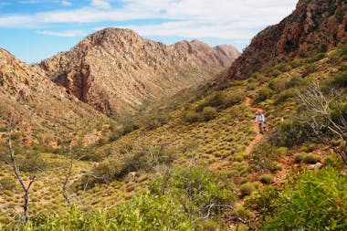 Best of the Larapinta Trail - 9 Days