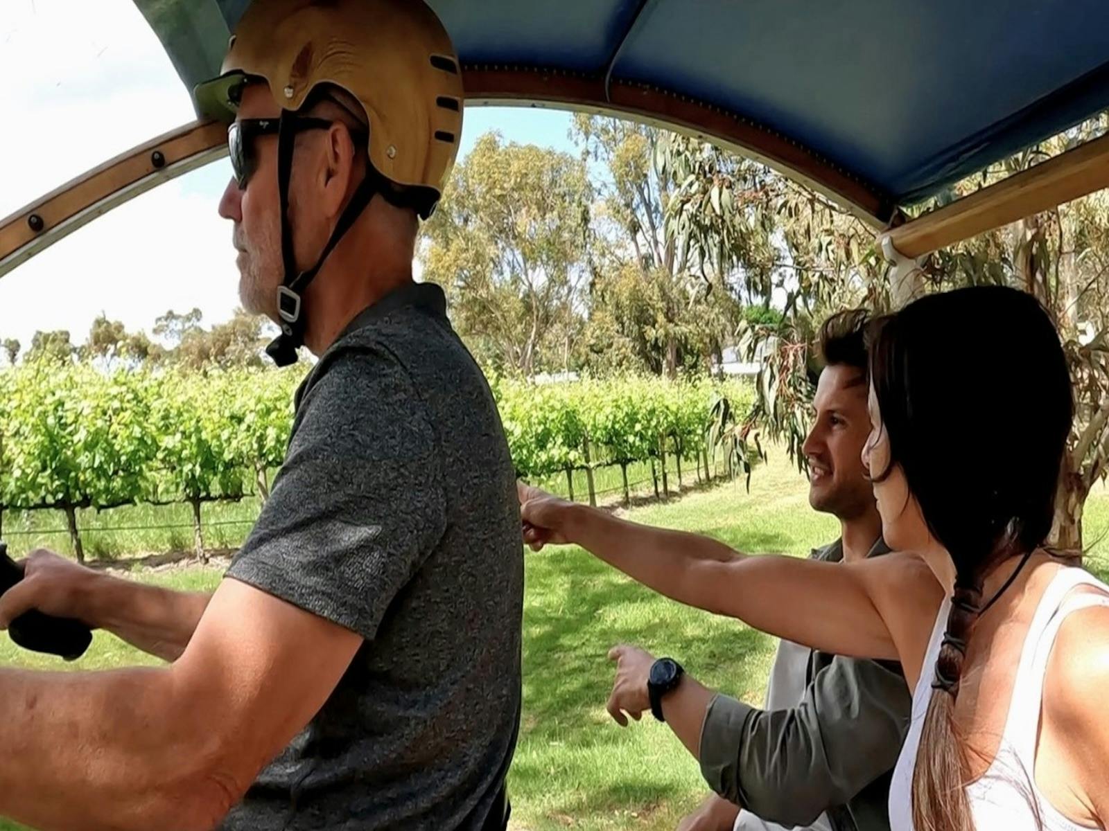 Footy Team TukTuk Tour - McLaren Vale