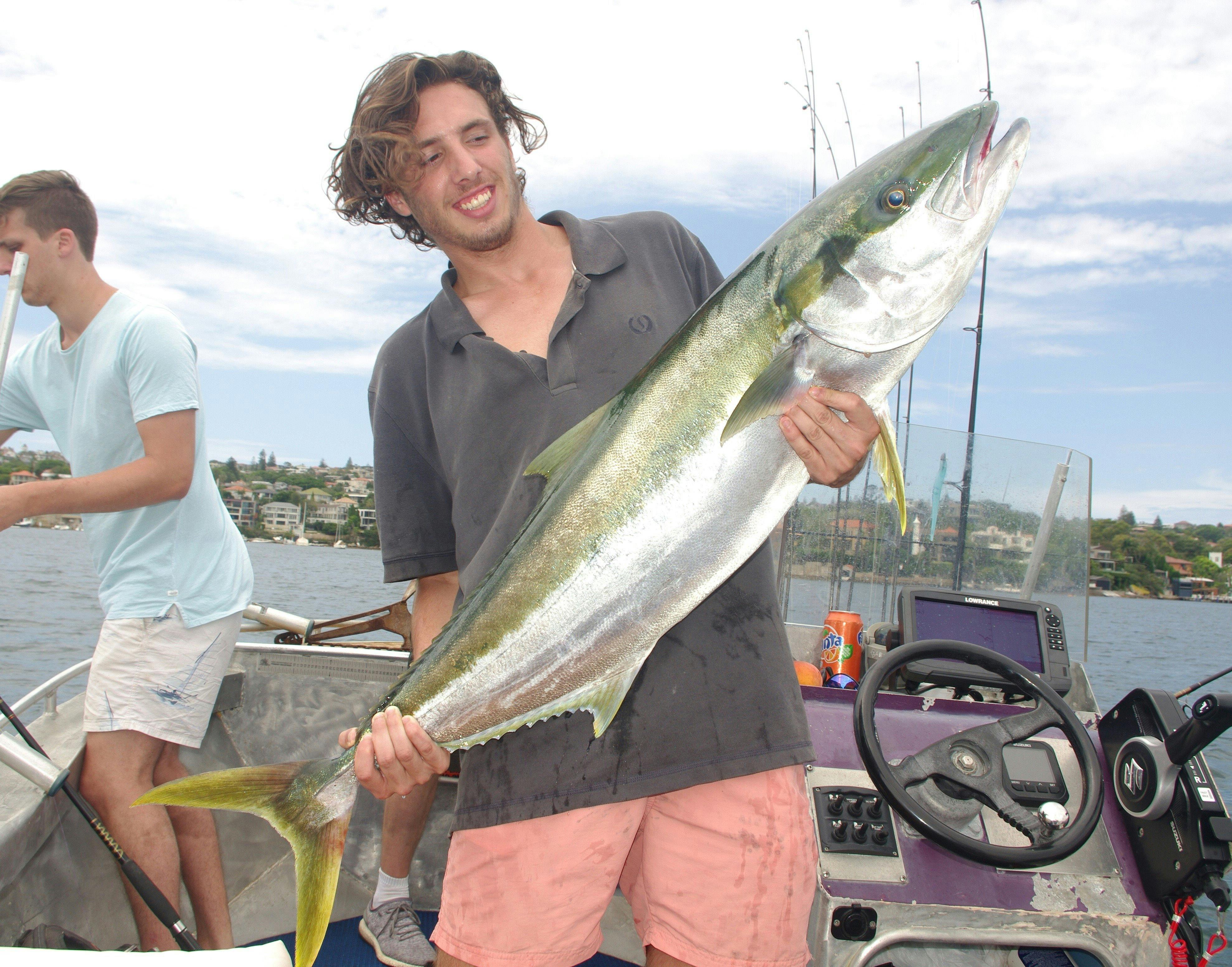 フィッシュアバウトシドニーハーバー