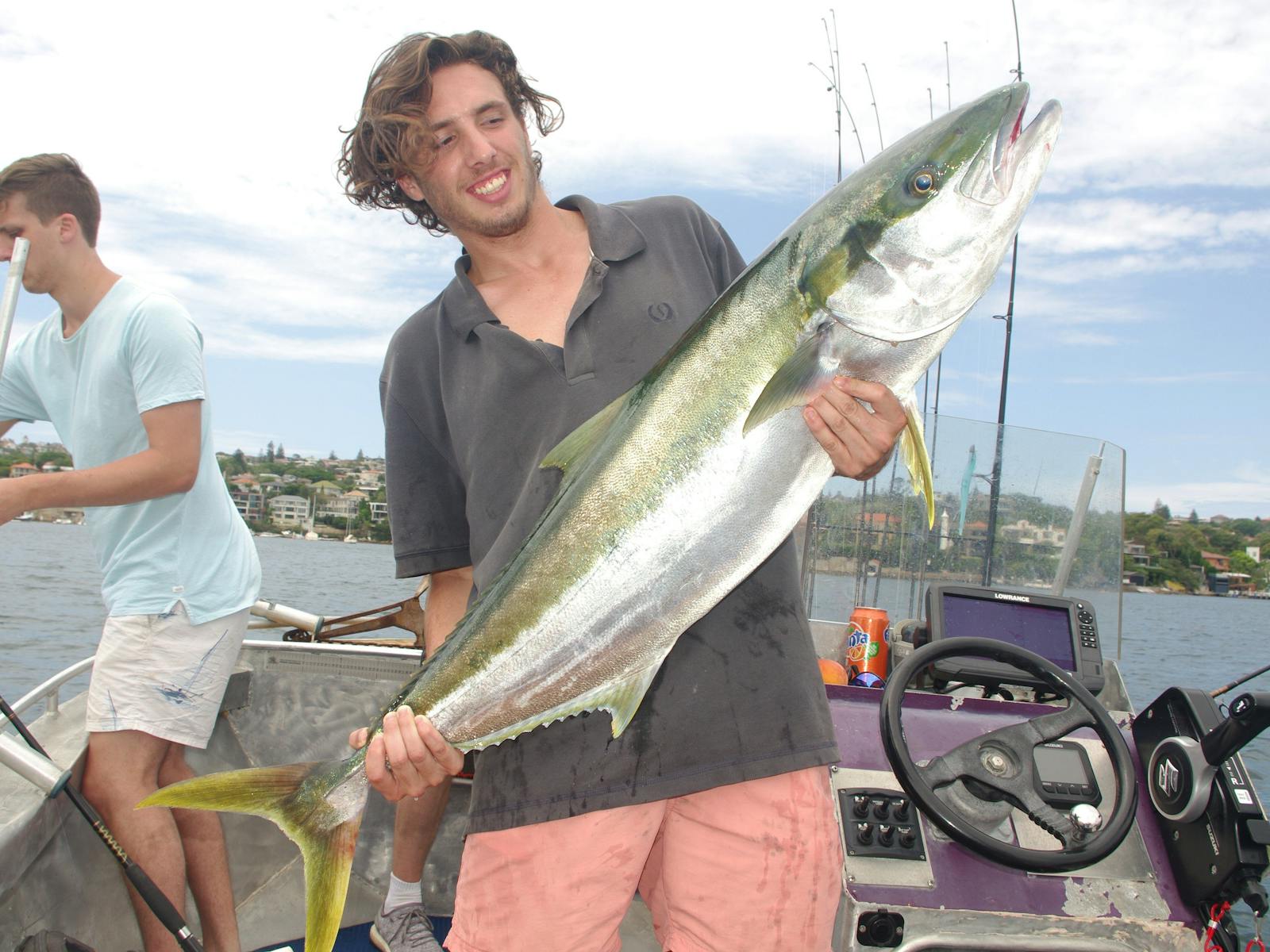 キングフィッシュ