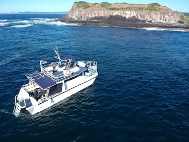 Cook Island Cook Island