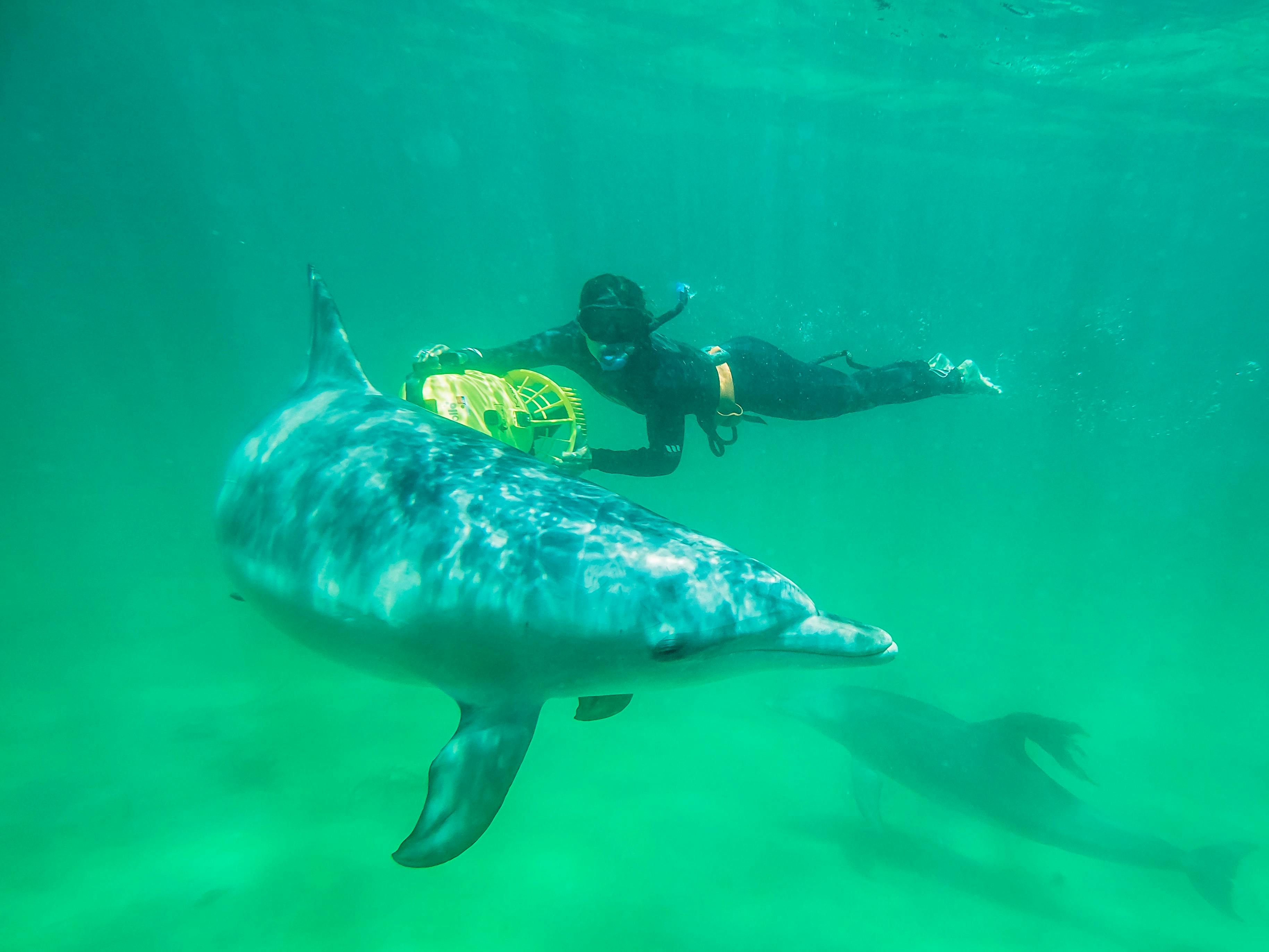 Rockingham, Western Australia