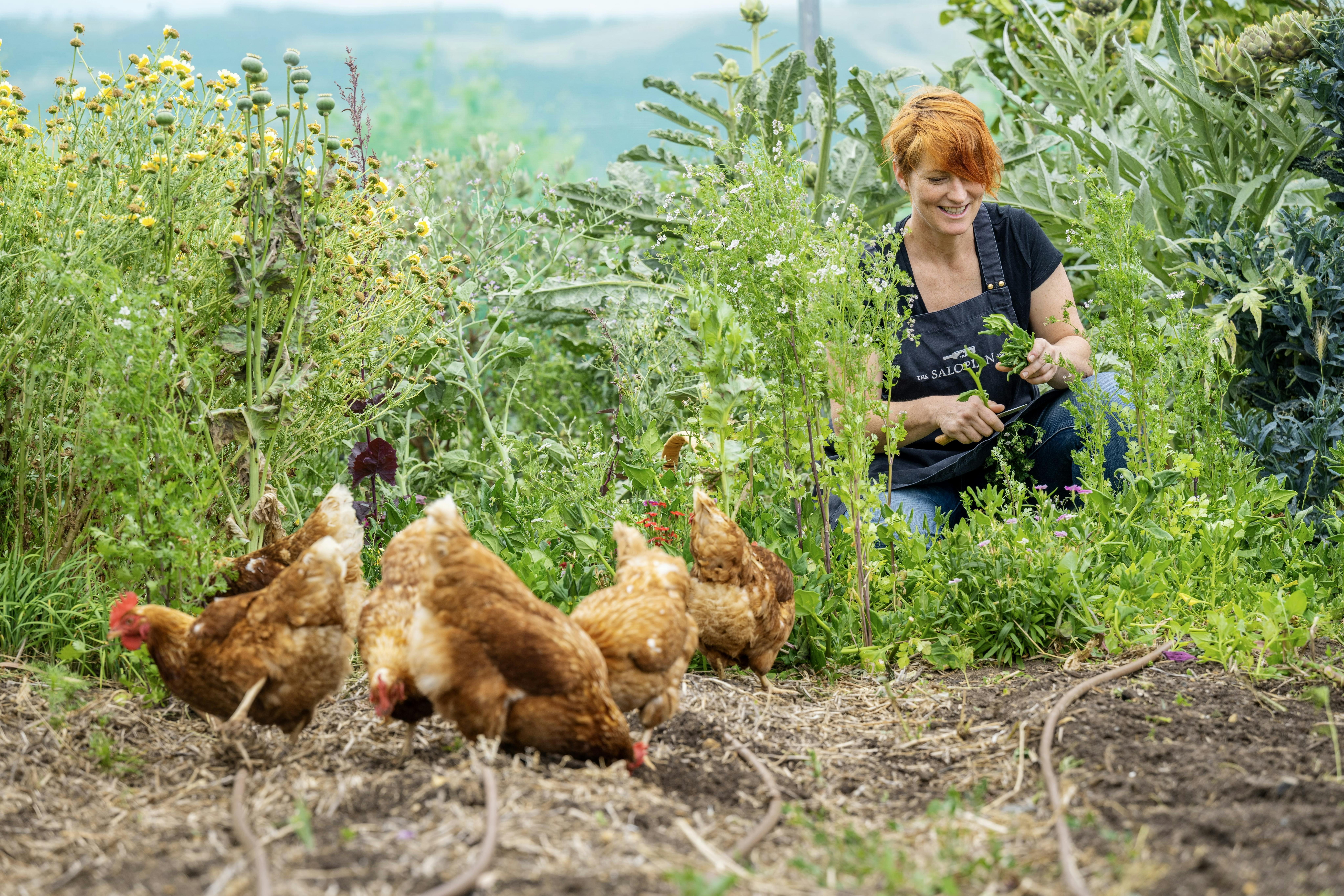 Head Chef Karena Armstrong in Salopian Inn's Kitchen Garden