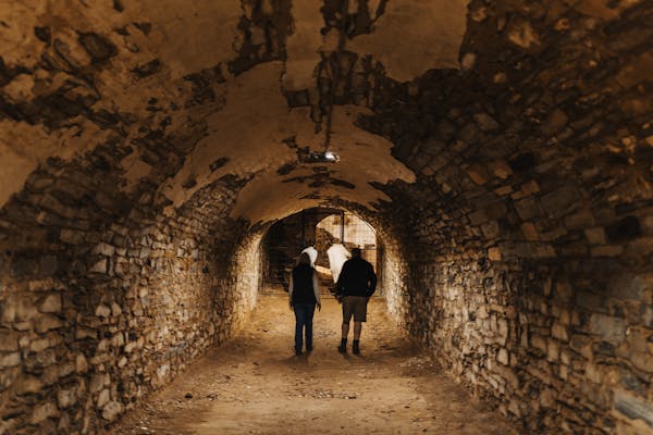 Unicorn Brewery Cellars