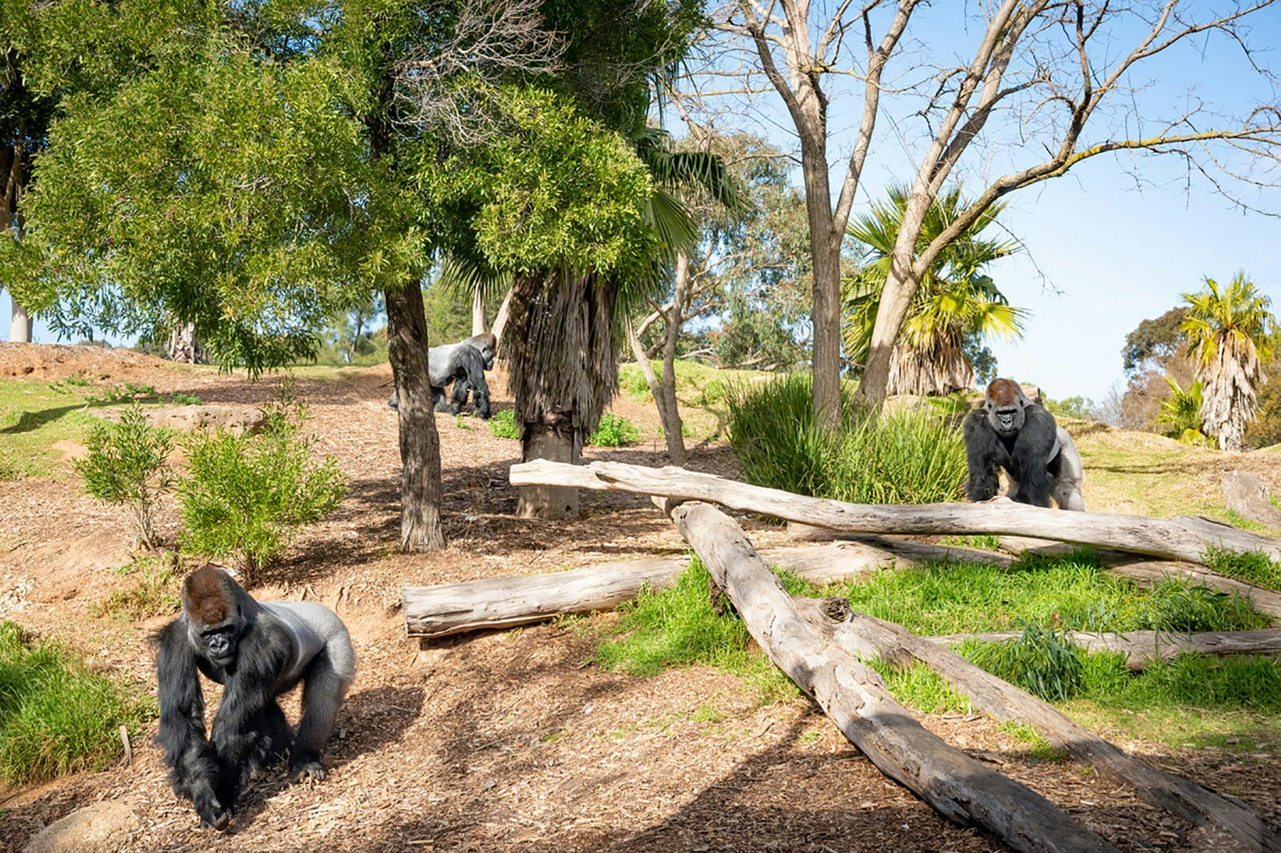Werribee Open Range Zoo
