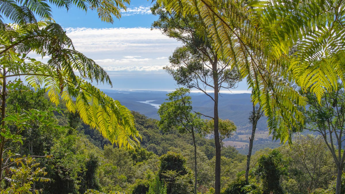 Image shows the views of the valley from the Safari Tents Image shows the views of the valley from the Safari Tents