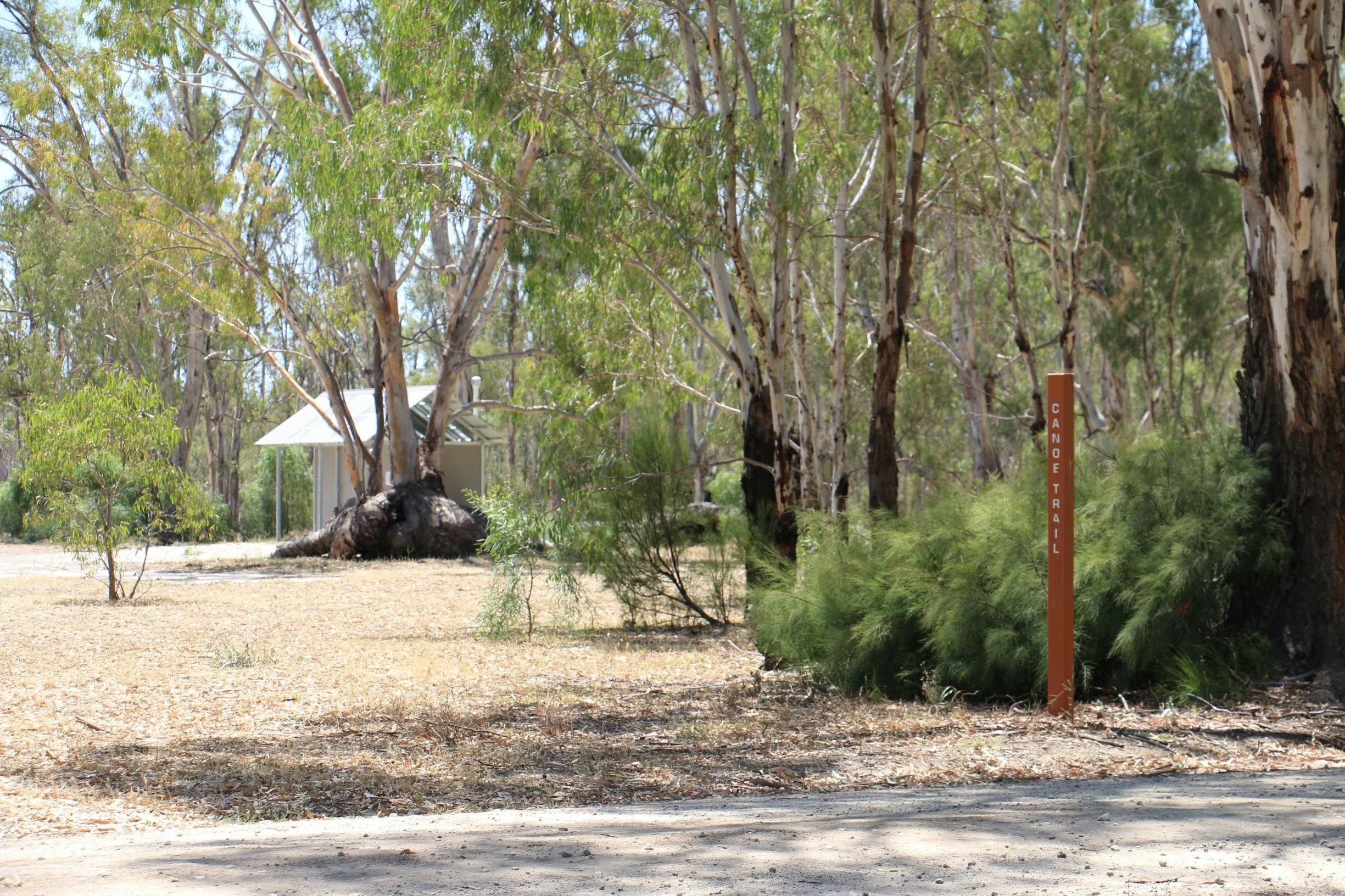 Canoe trail signage on Koondrook Track